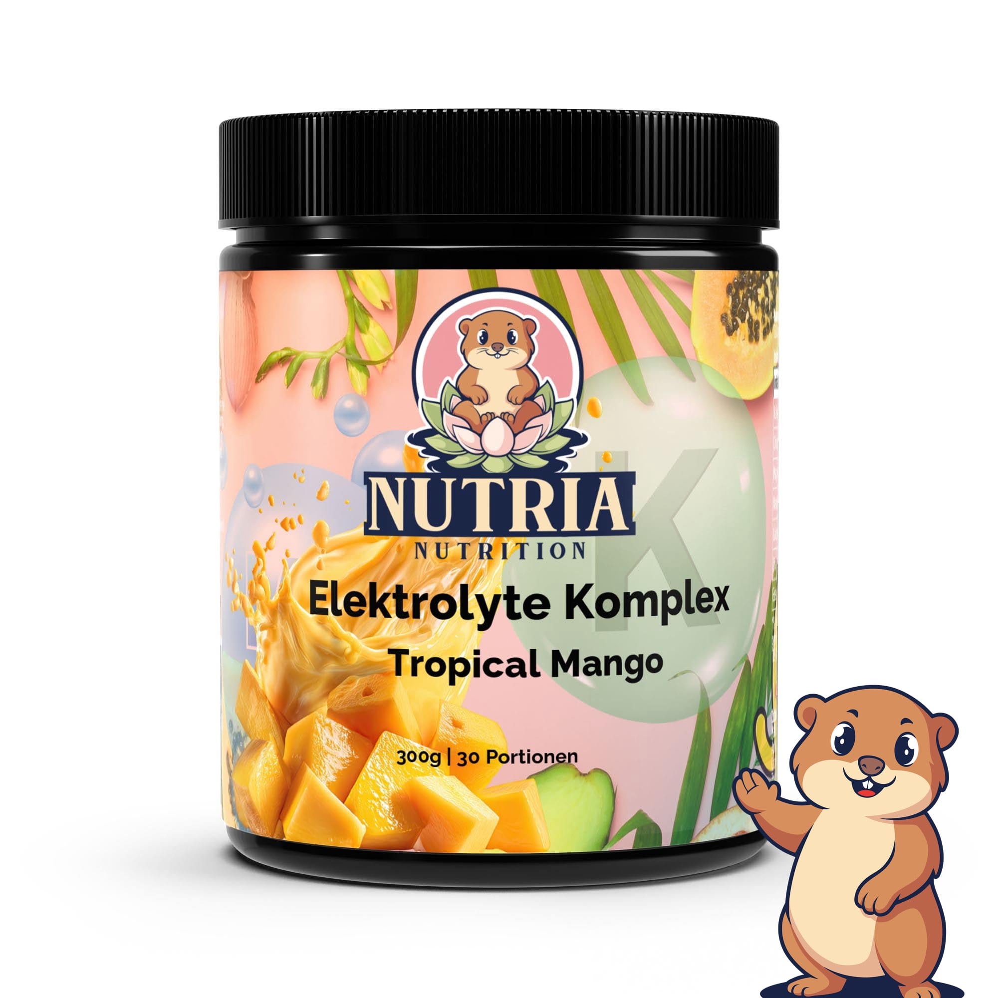 Elektrolyte