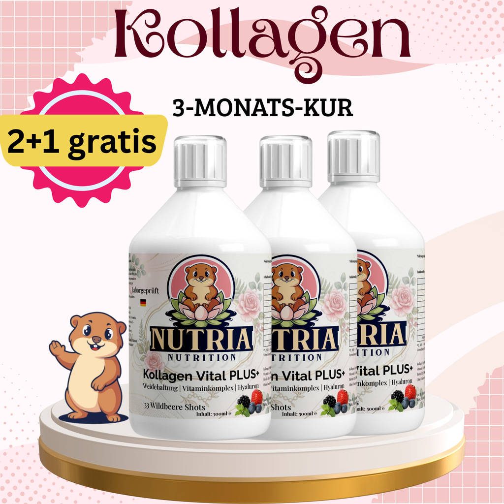 Rinderkollagen