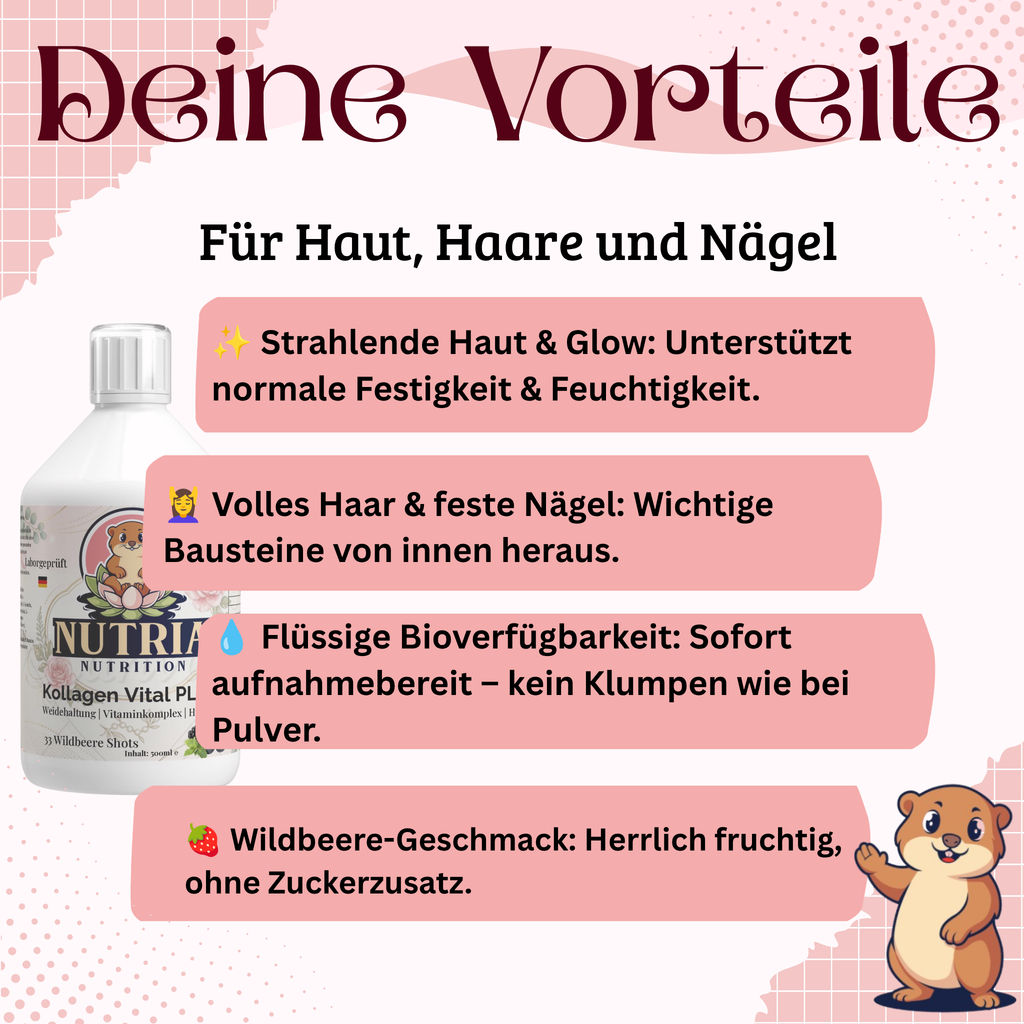 Kollagen, Deal, Schnaeppchen