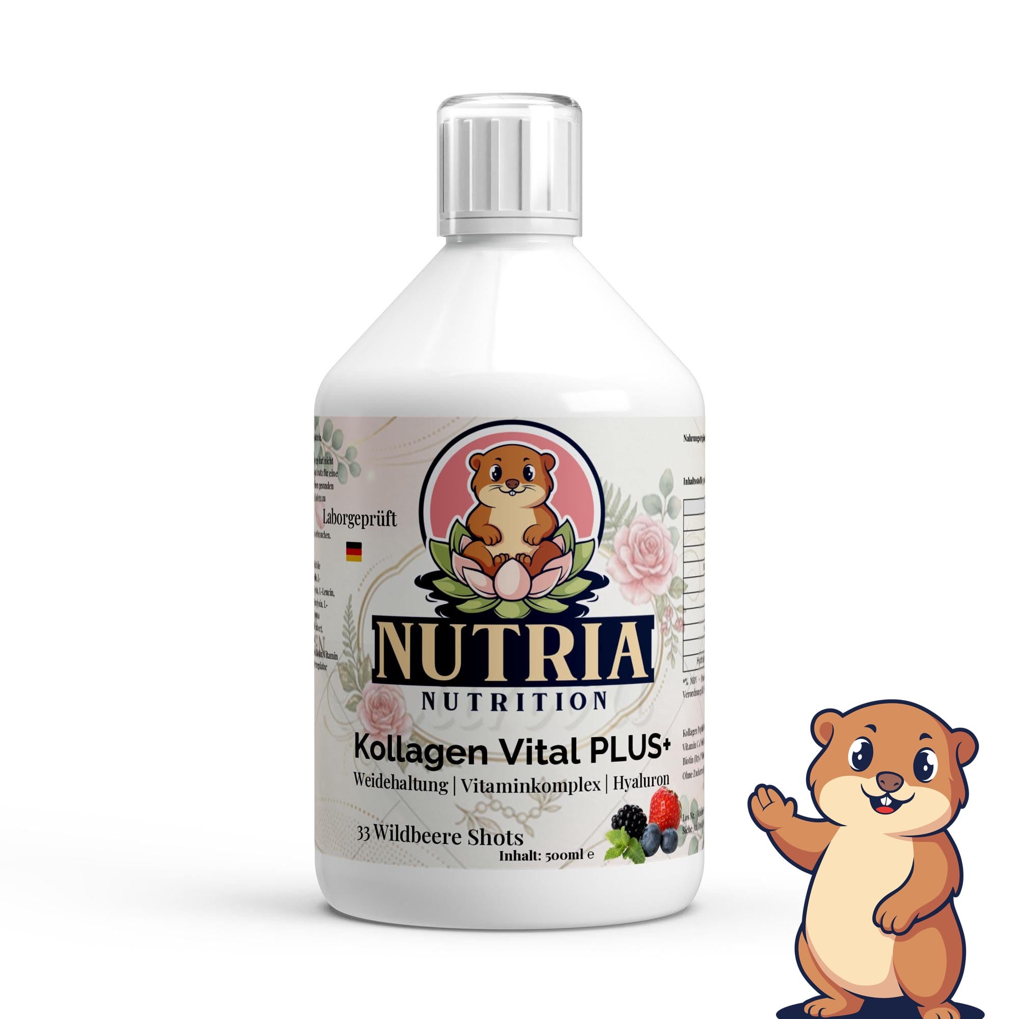 gutes Kollagen