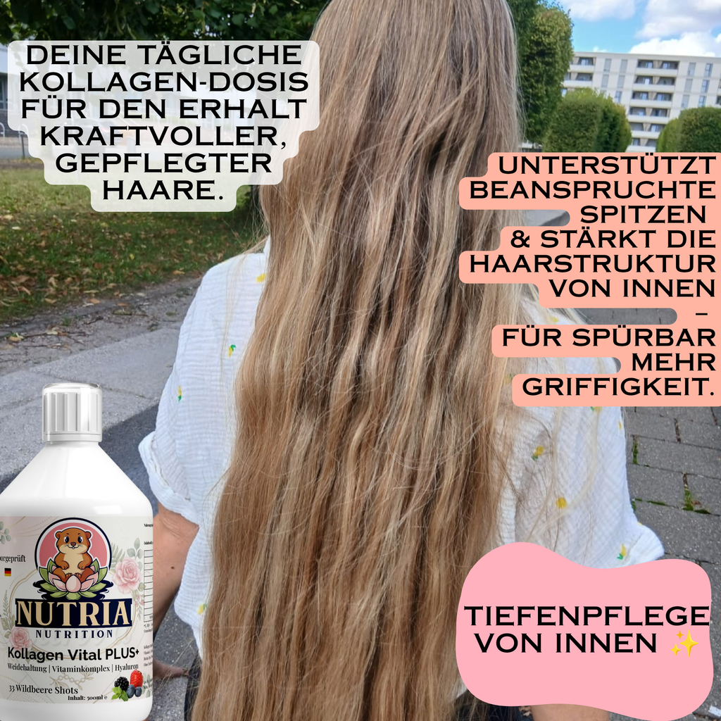 welches, kollagen, soll, ich, kaufen